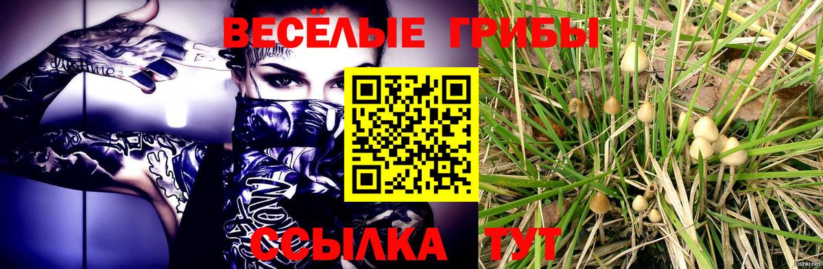 Псилоцибиновые грибы мухоморы Воркута