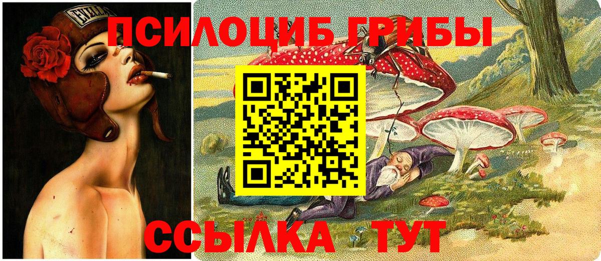 Галлюциногенные грибы Psilocybine cubensis  Вход с VPN  Воркута  Псилоцибиновые грибы прущие грибы 